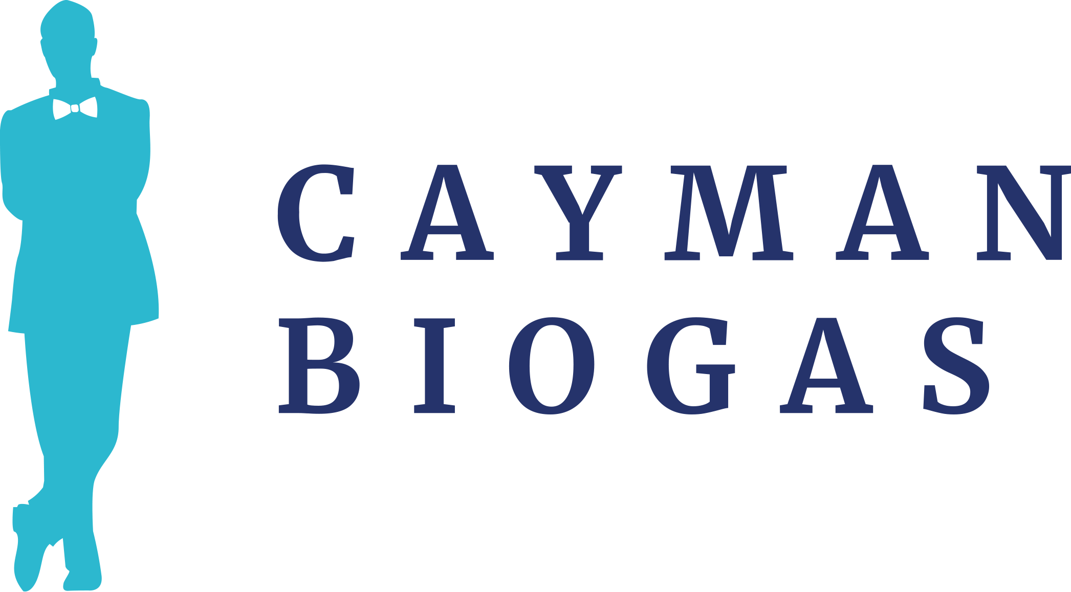 caribbeanmgt.ky